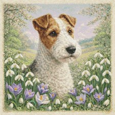Cane cucciolo Fox Terrier in