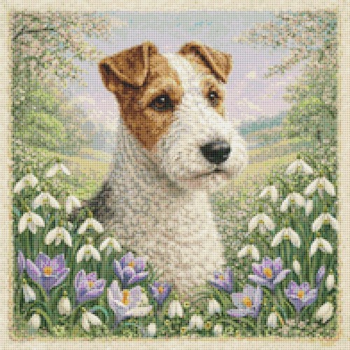 Cane cucciolo fox terrier - fox, in