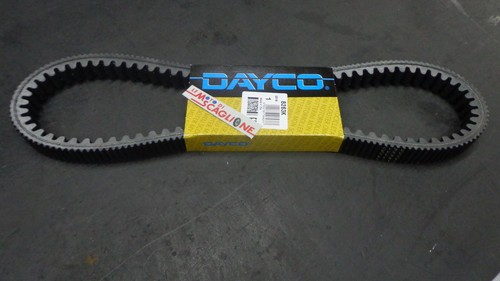 Cinghia trasmissione dayco - cinghia,