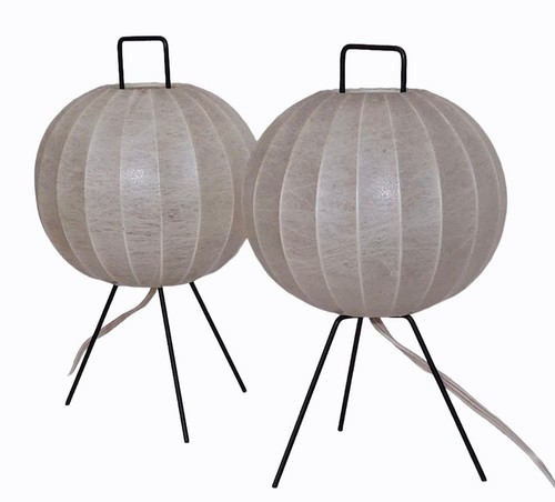 Goldkant rara coppia - coppia, di