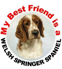 2 Adesivi Auto Welsh Springer