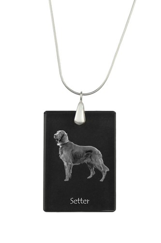 English setter inglese - english, setter,