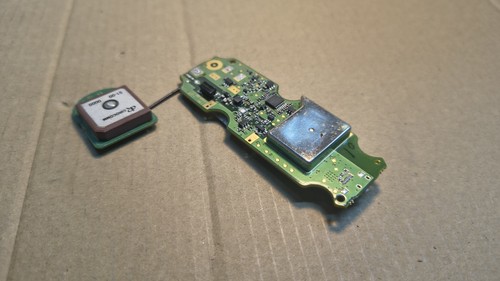 Garmin dc40 versione usa - garmin,