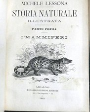 M. Lessona - Storia naturale illustrata - Parte prima - I Mammiferi - 1889