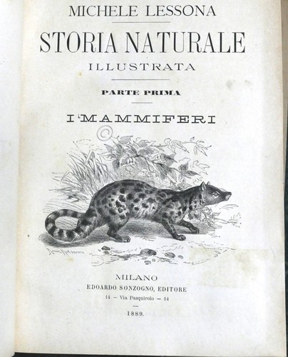 Lessona storia naturale - -,