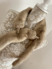 Sciarpa stola in pelliccia di