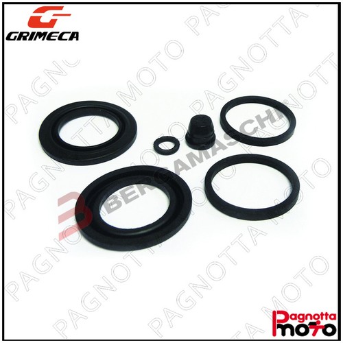 Kit revisione pinza freno - revisione,