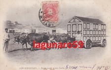 SAN SEBASTIAN_Spagna_Bueyes