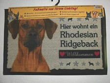 Zerbino rhodesian ridgeback - zerbino,