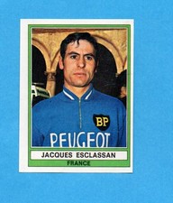 SPRINT '74-PANINI-Figurina