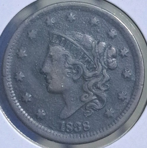 1838 testa coronetta - coronetta, grande