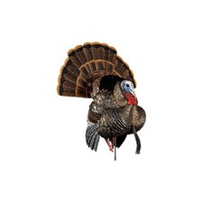 Avian hdr strutter turkey - strutter,