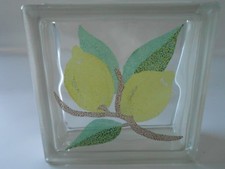 Vetro mattone, vetrocemento,mattone in vetro decorato cm. 19X19X8 