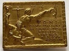 Distintivo OND FGNI Ginnastica