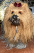 Lifelike Long Hair Yorkshire