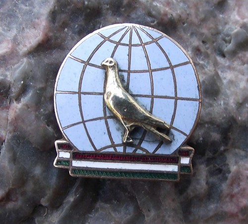Distintivo spilla piccione