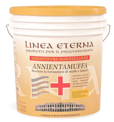 Annientamuffa pittura