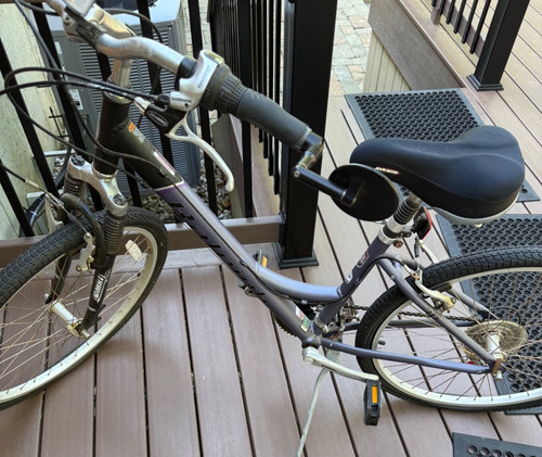 Raleigh female bike - raleigh,