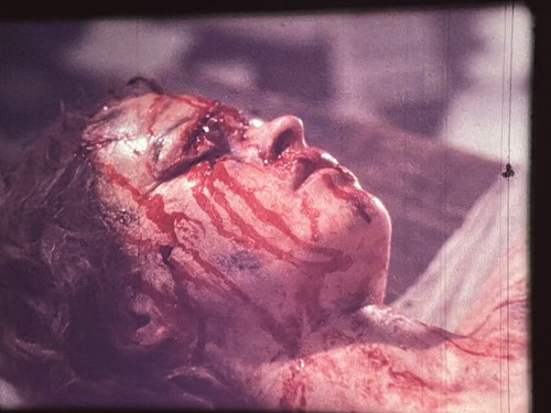 16mm mary shelley - 16mm, shelley's