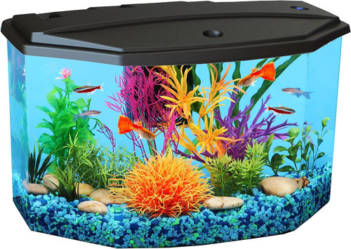 Starter kit acquario - starter, 3