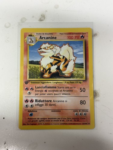 Pokemon arcanine 102 - pokemon,
