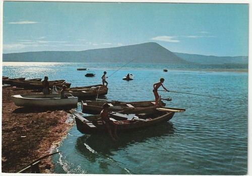 Lago vico ronciglione - lago,