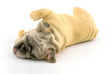 Bulldog francese cane animale
