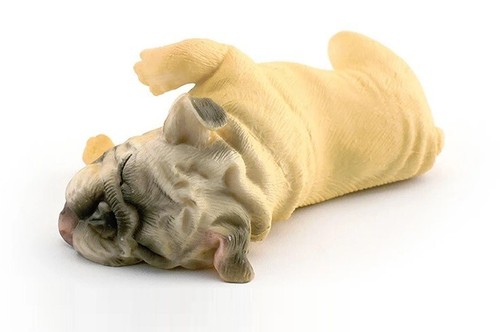 Bulldog francese cane animale