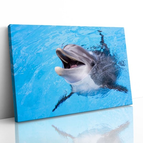 Quadro delfino sorridente - delfino,