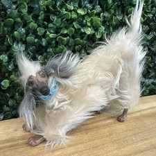 Barbie Beauty il cane segugio