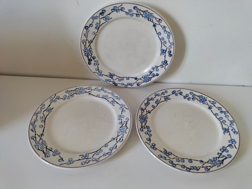 Assiettes plates digoin - 3,