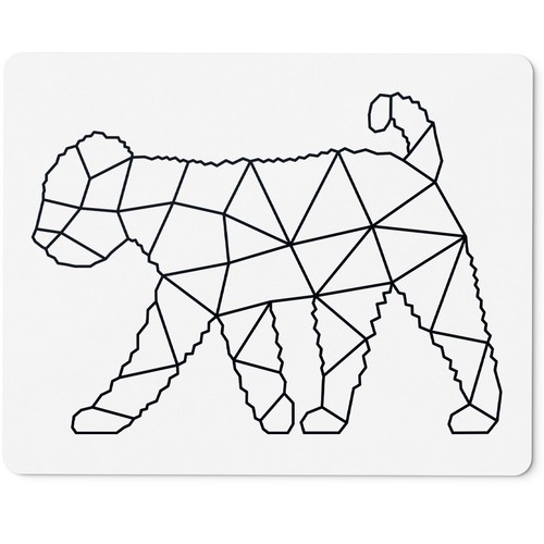 Lagotto romagnolo stile - romagnolo,,