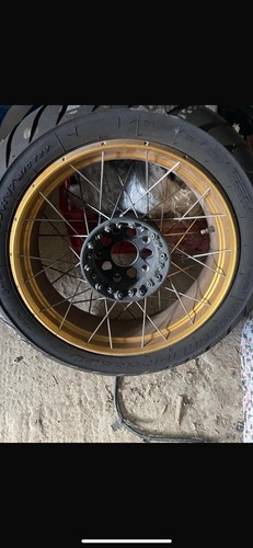 Cerchio oro posteriore - oro,