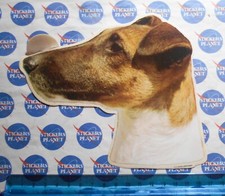 ADESIVO STICKER VINTAGE AUTOCOLLANT AUFKLEBER ORIGINAL LEVRIERO DOG