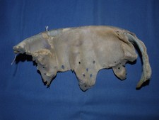 Pelle per fodera elmetto