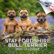 Staffordshire Bull Terrier