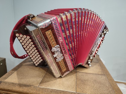 Oliatore armonica stiriana - ,