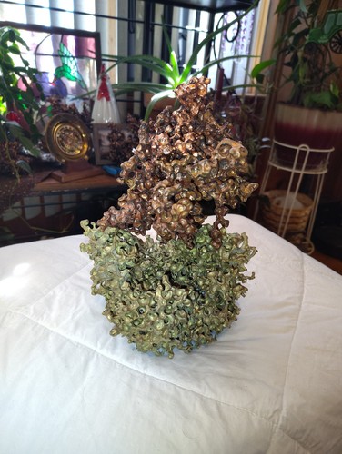 Bellissima scultura donjulio - bellissima,