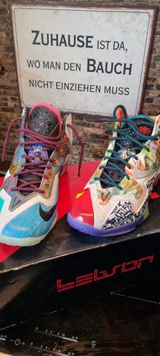 Nike bron what the - nike, xii