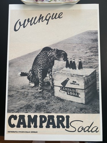 Bitter campari soda ghepardo - campari,