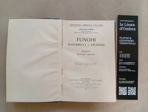 Giovanni ferri funghi - giovanni,