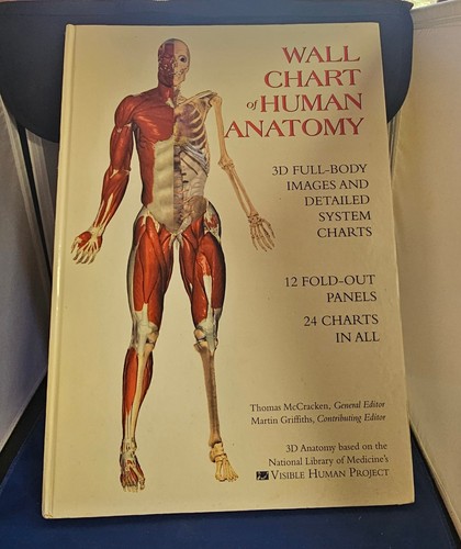 Wallchart human anatomy - wallchart, of