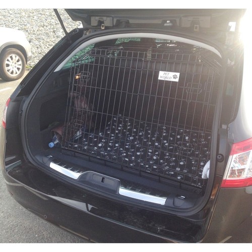 Peugeot 508 2011 cane - 508, sw