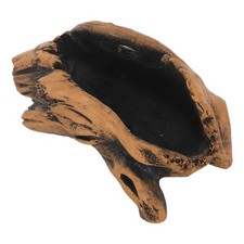  Vaso Succulento Tronco Legno