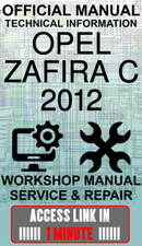 ACCESS LINK MANUALE OFFICINA