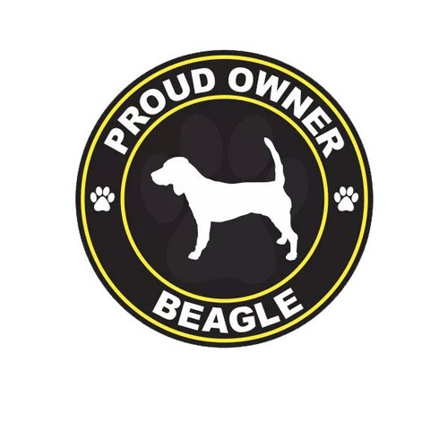 Adesivo beagle orgoglioso - beagle,