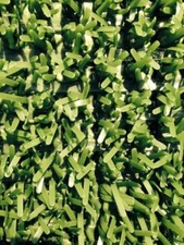 The Original Astroturf