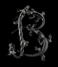 Berengo: 30 years in glass