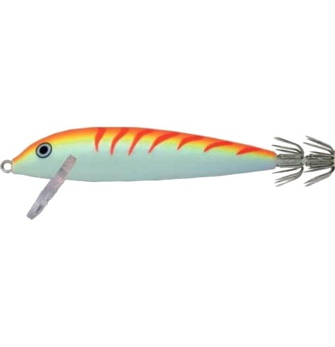 Totanara rapala squid - totanara,