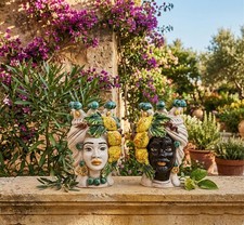 Coppia teste di moro re e